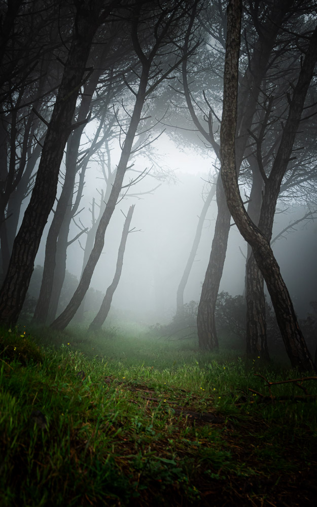 Platz 6 Christoph Lindau